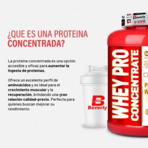 Beverly Whey Pro Concentrate 12